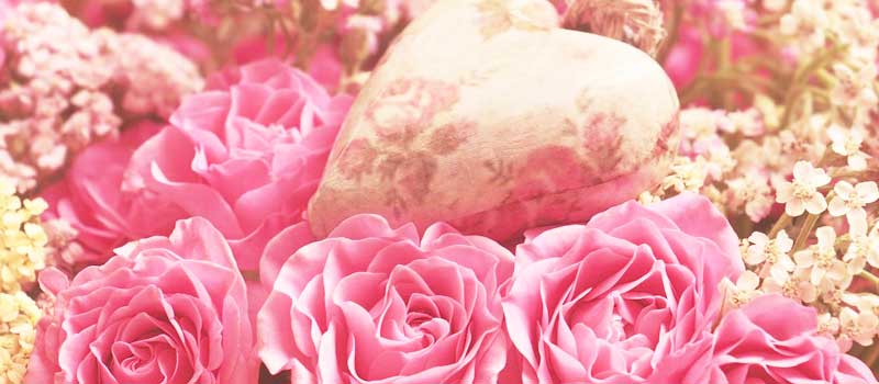 見てみて!いちごキャンディのジュニア